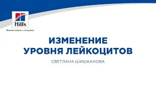Вебинар на тему: 