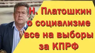 Критика мнения Николая Платошкина о социализме. Часть первая. ЖЕСТЬ!