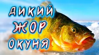 ВЕСЕННИЙ ЖОР НАЧАЛСЯ!!! Рыбалка и туризм в Карелии.
