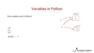 Python Tutorial for Beginners [Full Course] 3. Understanding Variables and Data Types in Python