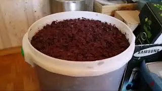 Брага из варенья и виноградного жмыха