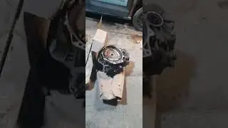 Всем привет 👋. Всё норм!