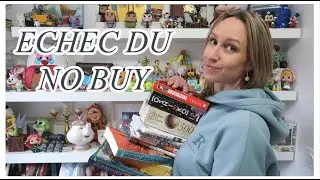 BOOKHAUL NOVEMBRE DECEMBRE - ENCORE UN GROS CRAQUAGE