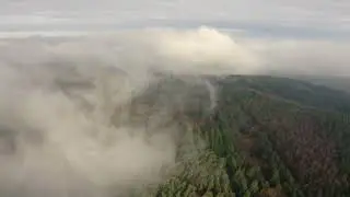 Misty Forest Drone Footage 4