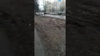 Лечебные грязи Орловщины
