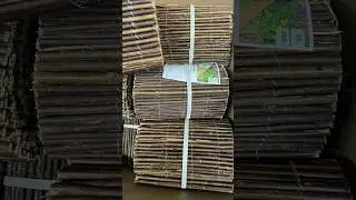 ЧИЖИК ВЕТКИ ПРОДАЁТ 😱 ОГО НОВИНОК