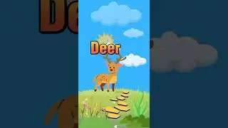 Animal Names || Animals animation video #animal #animals