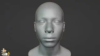 Human Base Meshes para Blender