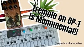 Walrus Monumental Stereo Tremolo Sound SOOOO Good on OP-1 // NO TALKING // #stereo #synth #knobs