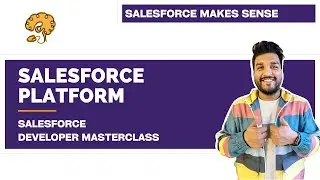 The Salesforce Platform | Chapter 3 | Salesforce Developer Masterclass