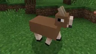 EN İYİ 3 MİNECRAFT MODU (1.9 1.8)