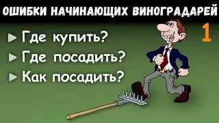Ошибки начинающих виноградарей.   Часть 1