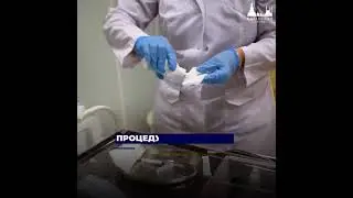 Удаление родинок
