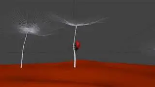 makingof "Ladybug"