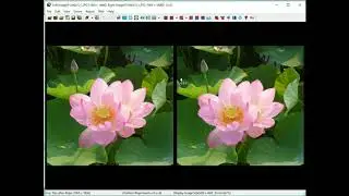 Create depth maps from stereo pairs