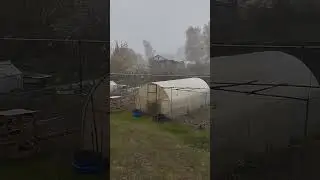 Матушка-земля, покрытая майским снегом.