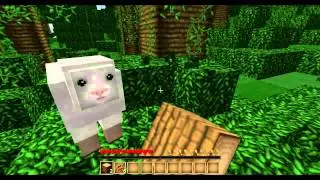 Minecraft PC: Survival - Episode 1