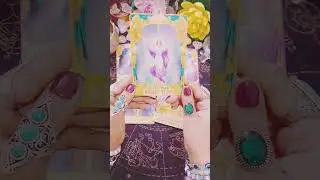 The universe has a message for you ✨️ 💛 ❤️#tarotcards #themysticaltarot222 #tarotcardreading #tarot