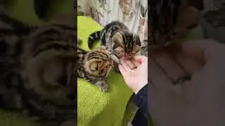 Провожаем любимушу 🍬 во взрослую жизнь.