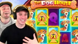 DOG HOUSE IS SO UNPREDICTABLE!