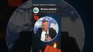 Ну и в чем он не прав? #волнамемов #мем