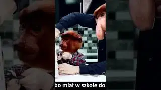 pov: pomagasz staremu