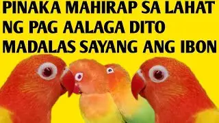 BAKIT MAHIRAP