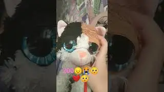 21 августа 2023 г.