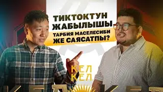 ТикТоктун жабылышы тарбия маселесиби же саясатпы?