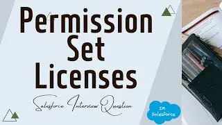 Permission Set Licenses | 