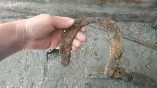 Нашел поткову