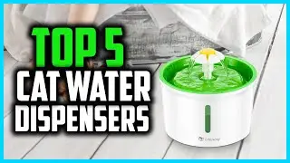 ✅Top 5 Best Cat Water Dispensers On The Market In 2024 Reviews