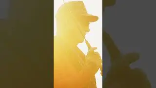 Tohatsu Presents: The Swamp TEASER
