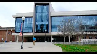 UF Engineering Professional Experience