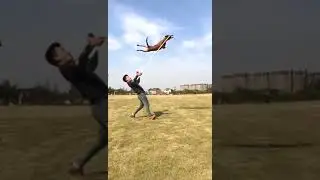 Собаки показывают высший класс!