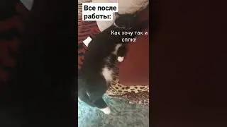 мем 