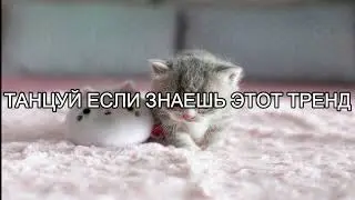 ТАНЦУЙ ЕСЛИ ЗНАЕШЬ ЭТОТ ТРЕНД 2023 ГОДА