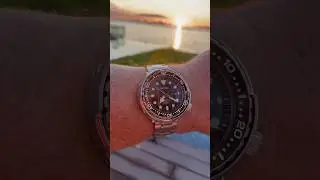 Seiko Prospex Tuna mm300 professional sbbn031