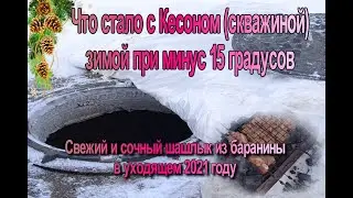Вот что стало с Кесоном (Скважиной) зимой при минус 15 градусов. Свежий, сочный шашлык из баранины.