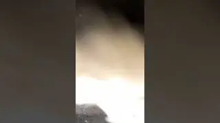 Сбор яиц! #сборяиц