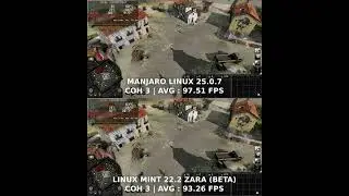 Linux Mint VS Manjaro | Linux Gaming FPS Benchmark Test
