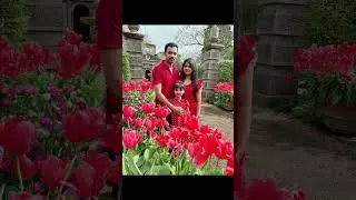 Tulip festival at Arundel castle UK
