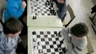 Шахматы