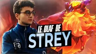 TRIPLE ANALYSE DU OLAF DE STREY