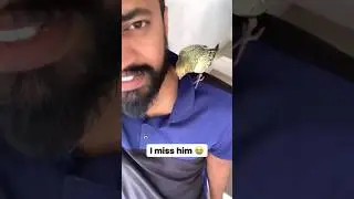 A Cat Ate Him 😭🙄#vivekjadoo #deepikavivek #shorts