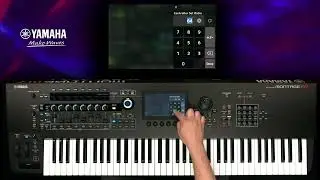 Montage M Tips | How To Assign Cutoff Filter Frequency To Aftertouch