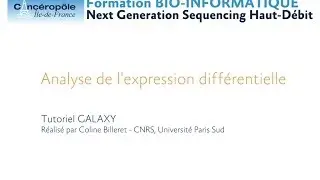 Formation NGS : Analyse de l'expression différentielle à partir de données RNA-Seq