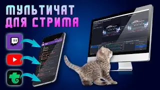 Мультичат для трансляций | Стрима
