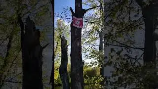 кругом обман