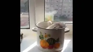 У вас там это... суп с котом выкипает 🤣🤣🤣